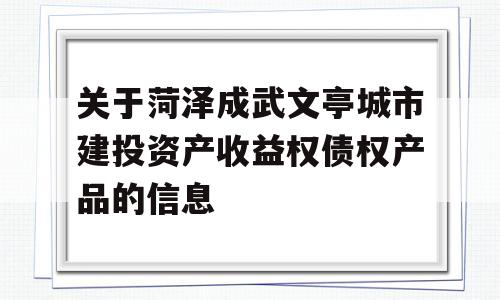 关于菏泽成武文亭城市建投资产收益权债权产品的信息