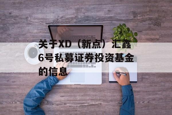 关于XD（新点）汇鑫6号私募证券投资基金的信息