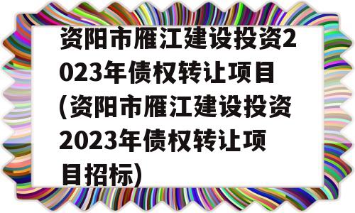 资阳市雁江建设投资2023年债权转让项目(资阳市雁江建设投资2023年债权转让项目招标)