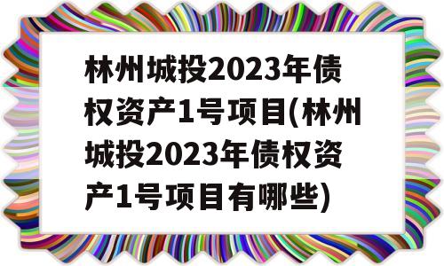 林州城投2023年债权资产1号项目(林州城投2023年债权资产1号项目有哪些)