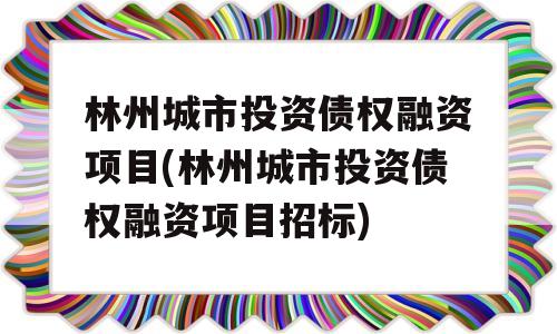 林州城市投资债权融资项目(林州城市投资债权融资项目招标)