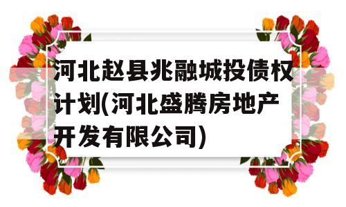 河北赵县兆融城投债权计划(河北盛腾房地产开发有限公司)