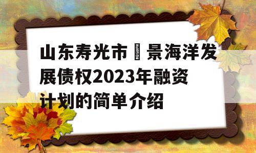 山东寿光市昇景海洋发展债权2023年融资计划的简单介绍