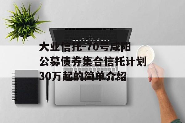 大业信托-70号咸阳公募债券集合信托计划30万起的简单介绍