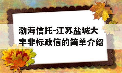 渤海信托-江苏盐城大丰非标政信的简单介绍