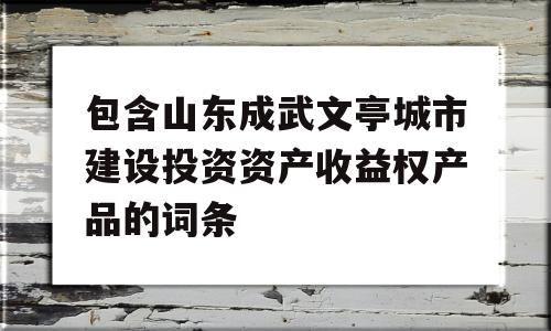 包含山东成武文亭城市建设投资资产收益权产品的词条