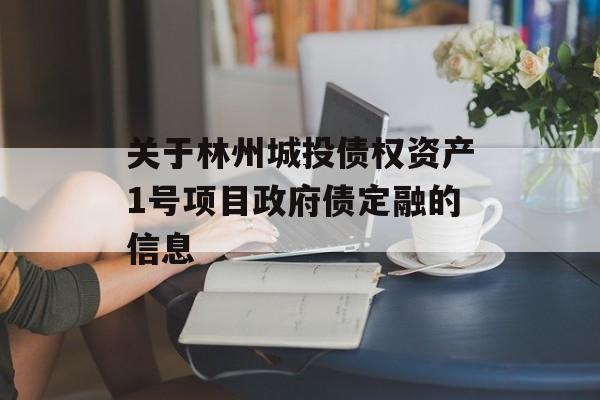 关于林州城投债权资产1号项目政府债定融的信息