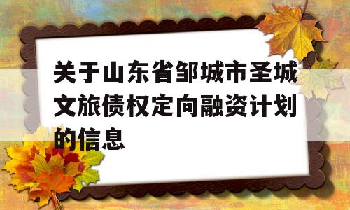 关于山东省邹城市圣城文旅债权定向融资计划的信息