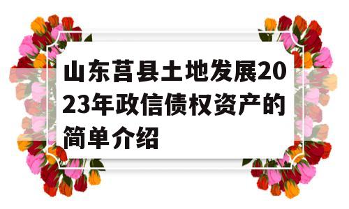 山东莒县土地发展2023年政信债权资产的简单介绍