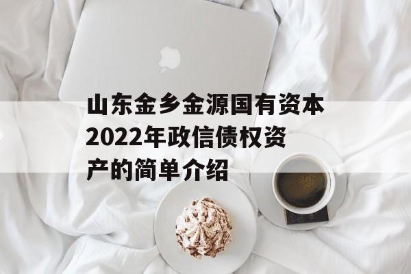 山东金乡金源国有资本2022年政信债权资产的简单介绍