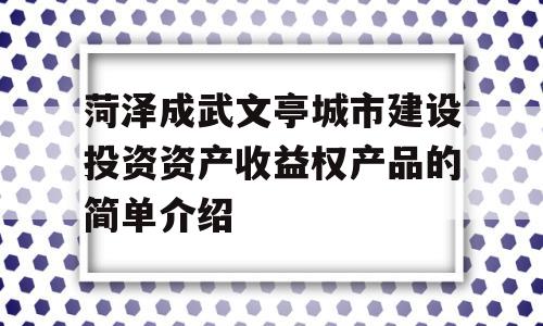 菏泽成武文亭城市建设投资资产收益权产品的简单介绍