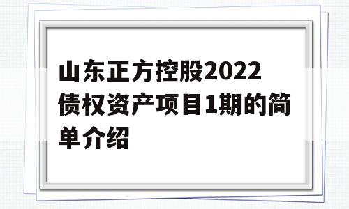 山东正方控股2022债权资产项目1期的简单介绍