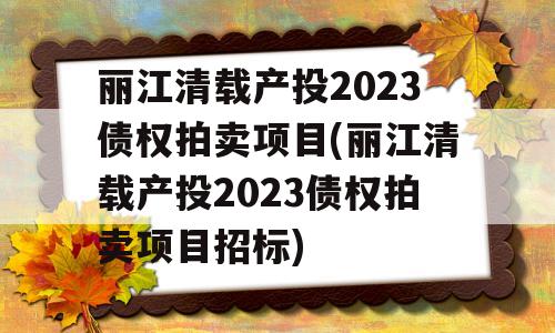 丽江清载产投2023债权拍卖项目(丽江清载产投2023债权拍卖项目招标)