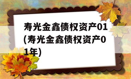 寿光金鑫债权资产01(寿光金鑫债权资产01年)