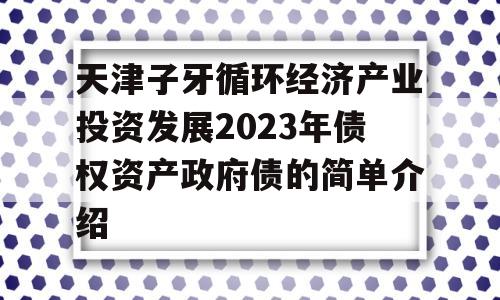 天津子牙循环经济产业投资发展2023年债权资产政府债的简单介绍