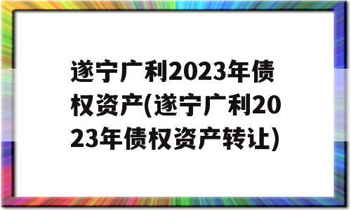 遂宁广利2023年债权资产(遂宁广利2023年债权资产转让)