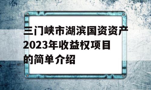 三门峡市湖滨国资资产2023年收益权项目的简单介绍