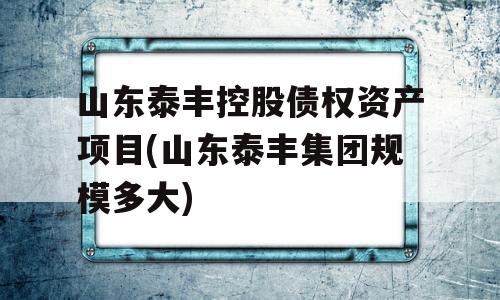 山东泰丰控股债权资产项目(山东泰丰集团规模多大)