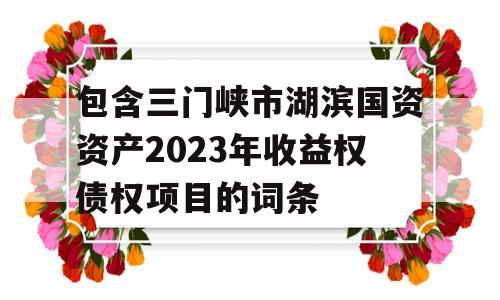 包含三门峡市湖滨国资资产2023年收益权债权项目的词条