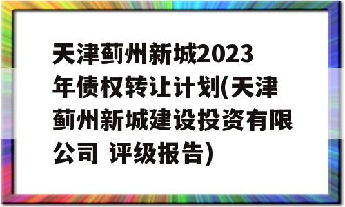 天津蓟州新城2023年债权转让计划(天津蓟州新城建设投资有限公司 评级报告)