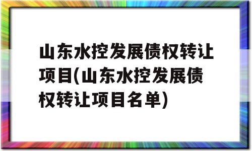 山东水控发展债权转让项目(山东水控发展债权转让项目名单)