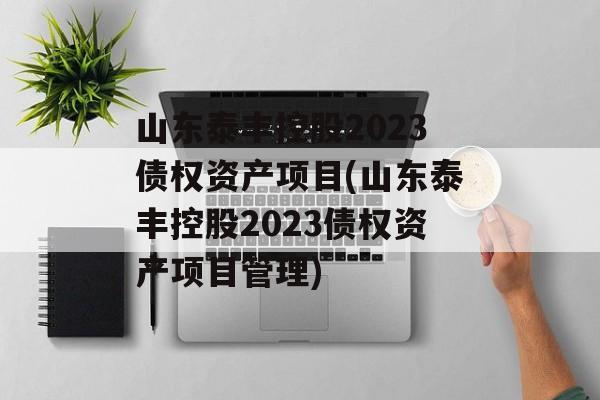 山东泰丰控股2023债权资产项目(山东泰丰控股2023债权资产项目管理)