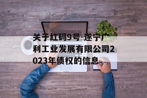 关于红码9号-遂宁广利工业发展有限公司2023年债权的信息