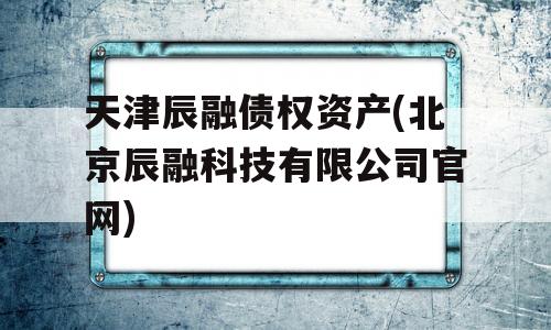 天津辰融债权资产(北京辰融科技有限公司官网)