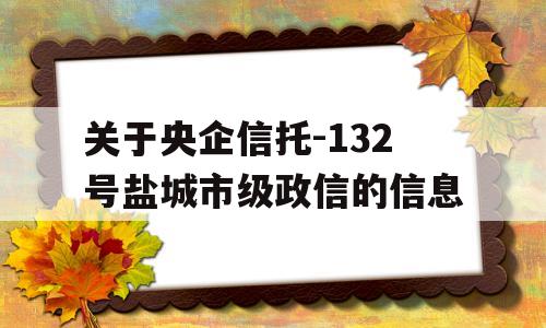 关于央企信托-132号盐城市级政信的信息