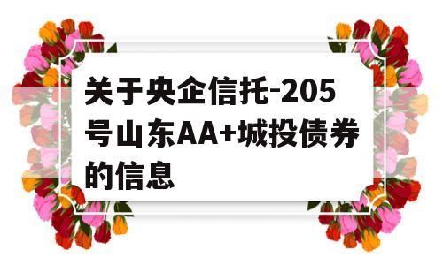 关于央企信托-205号山东AA+城投债券的信息