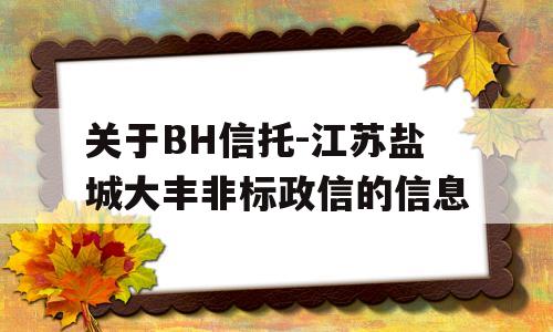 关于BH信托-江苏盐城大丰非标政信的信息