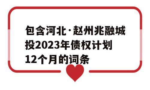 包含河北·赵州兆融城投2023年债权计划12个月的词条