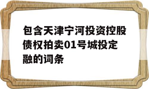 包含天津宁河投资控股债权拍卖01号城投定融的词条