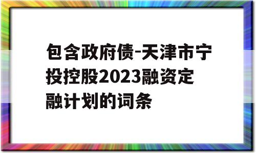 包含政府债-天津市宁投控股2023融资定融计划的词条