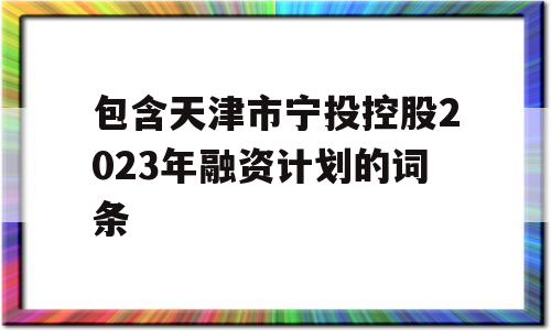 包含天津市宁投控股2023年融资计划的词条