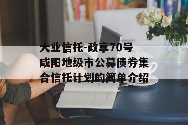 大业信托-政享70号咸阳地级市公募债券集合信托计划的简单介绍