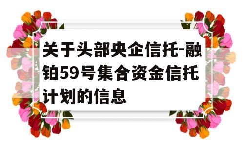 关于头部央企信托-融铂59号集合资金信托计划的信息