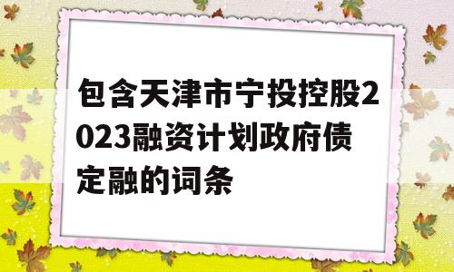 包含天津市宁投控股2023融资计划政府债定融的词条