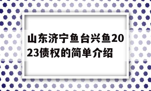 山东济宁鱼台兴鱼2023债权的简单介绍