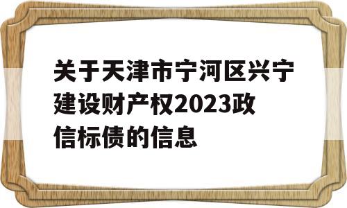 关于天津市宁河区兴宁建设财产权2023政信标债的信息