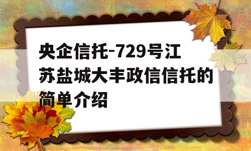 央企信托-729号江苏盐城大丰政信信托的简单介绍