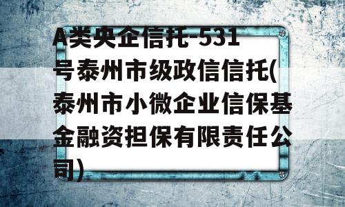 A类央企信托-531号泰州市级政信信托(泰州市小微企业信保基金融资担保有限责任公司)