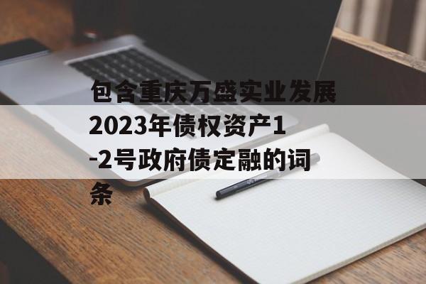 包含重庆万盛实业发展2023年债权资产1-2号政府债定融的词条