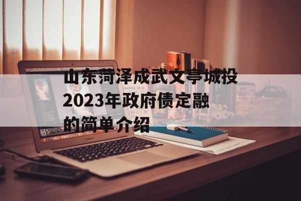 山东菏泽成武文亭城投2023年政府债定融的简单介绍