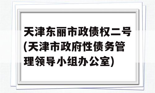 天津东丽市政债权二号(天津市政府性债务管理领导小组办公室)