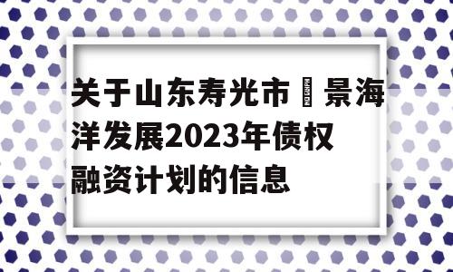 关于山东寿光市昇景海洋发展2023年债权融资计划的信息