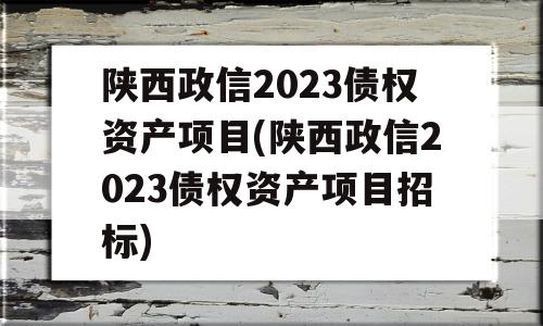 陕西政信2023债权资产项目(陕西政信2023债权资产项目招标)