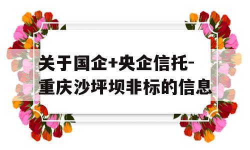 关于国企+央企信托-重庆沙坪坝非标的信息