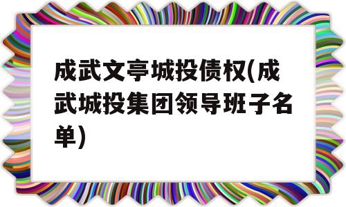 成武文亭城投债权(成武城投集团领导班子名单)