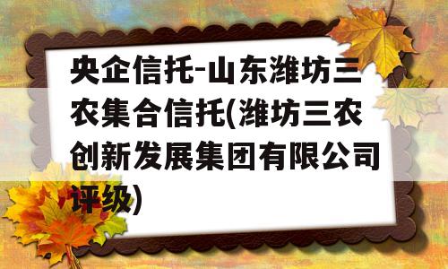 央企信托-山东潍坊三农集合信托(潍坊三农创新发展集团有限公司评级)